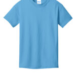 View image 2 of Port & Co Youth Core Cotton DTG Tee PC54YDTG